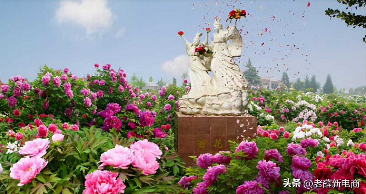 走进县区看产业:山东省菏泽市牡丹区