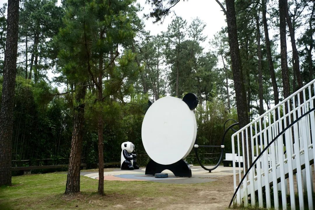 浙江市区度假酒店推荐,浙江轻奢酒店值得推荐