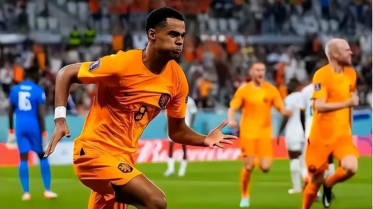 美国和荷兰谁更强,荷兰vs美国谁强