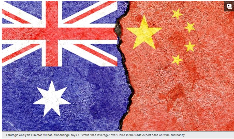 婢虫床鍗庤璋堜腑鍥藉婢虫床缁忔祹璐告槗,鍗庝汉瀵规境澶у埄浜氱殑璇勪环