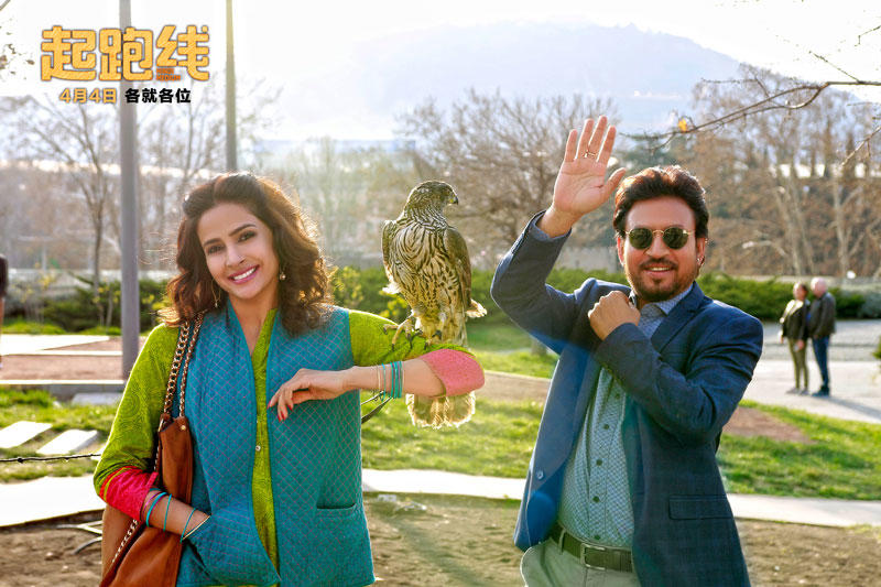 深度解析教育本质,引人深思的教育细节