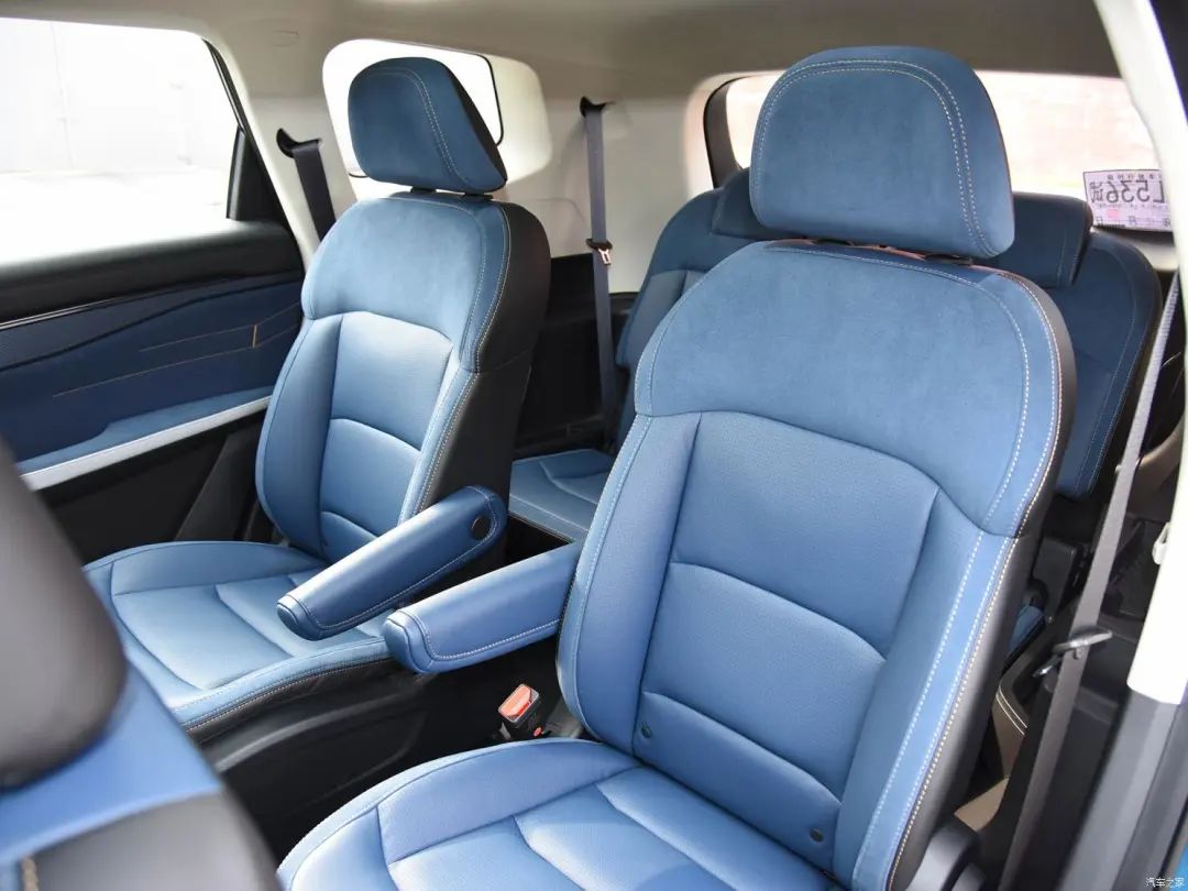 睿蓝9和蓝电怎么选,睿蓝9是不是7座