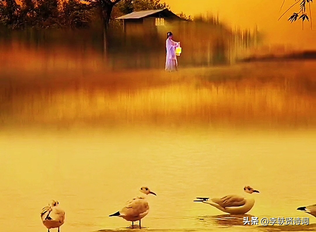 《百味诗词》第13期“如果每天都有毒，定知解药是阳光。”