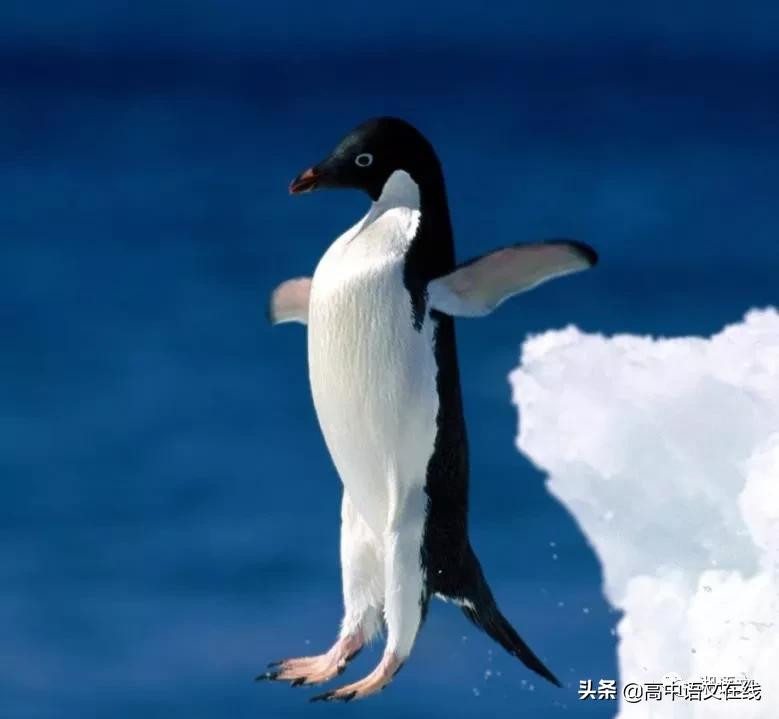 高考百日誓师宣誓素材,高考百日誓师美篇引言