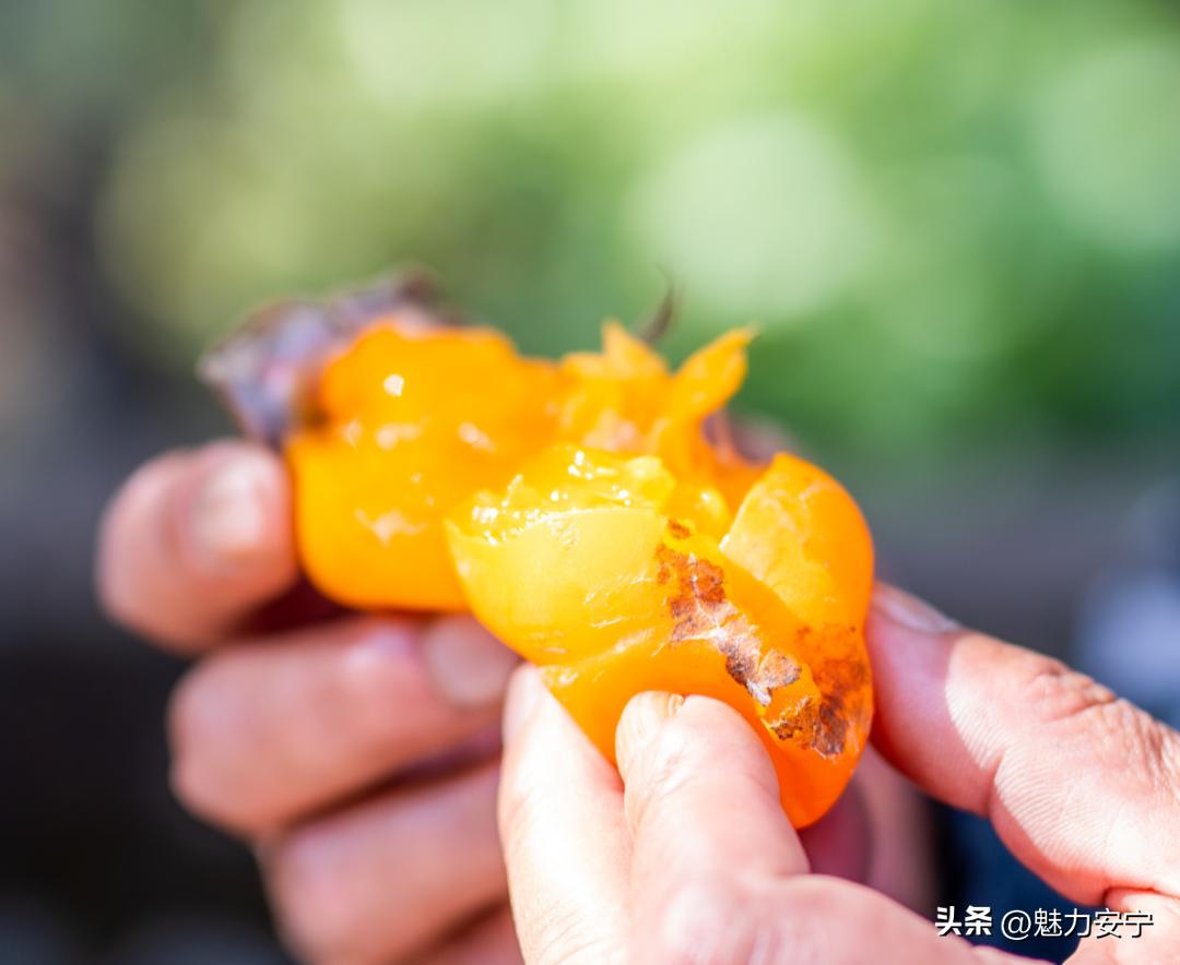 您有一份来自温泉的“柿柿如意”，请注意查收！