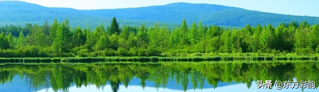 农村种植养殖什么赚钱,农村种植什么最赚钱投资小见效快