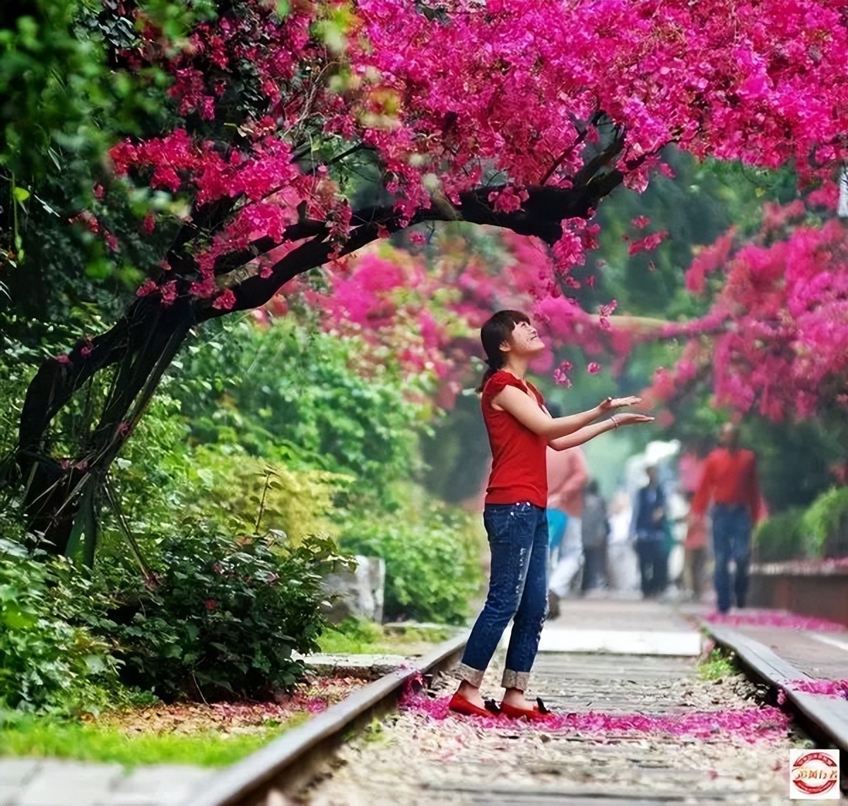 2023年2月11-19追风行者自驾永定土楼-鼓浪屿-九曲溪9日游招募中