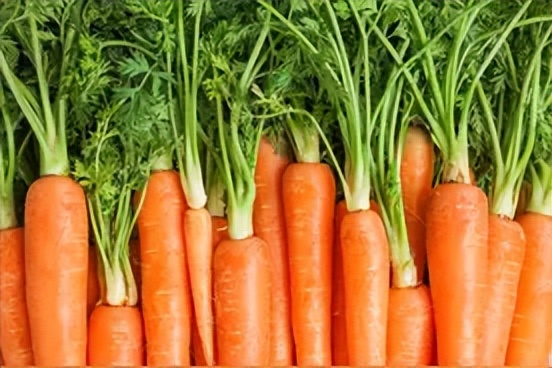 养肝护肝的蔬菜和食物有哪些,护肝养肝的水果蔬菜是哪些