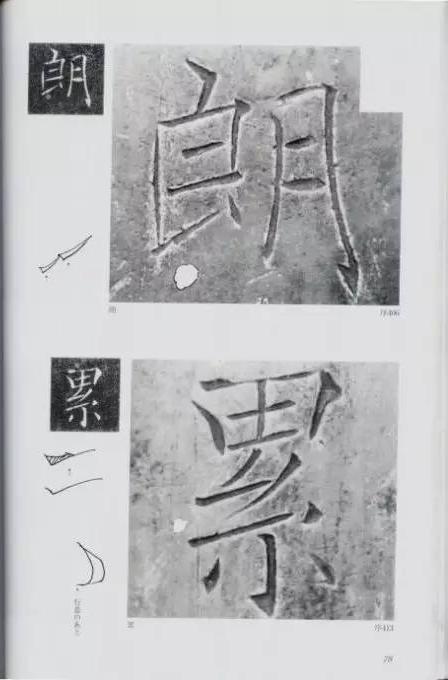 宸ョ瑪鐢绘潹鏅箟鐢诲唽,鏉滈箖鏉ㄦ櫘涔夊畬鏁寸増