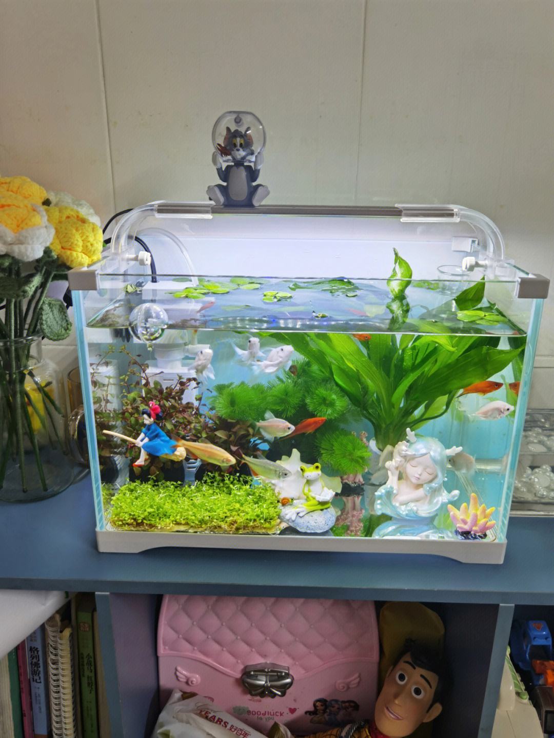 珍珠鳖在中国有天敌吗,珍珠鳖在美国泛滥了吗