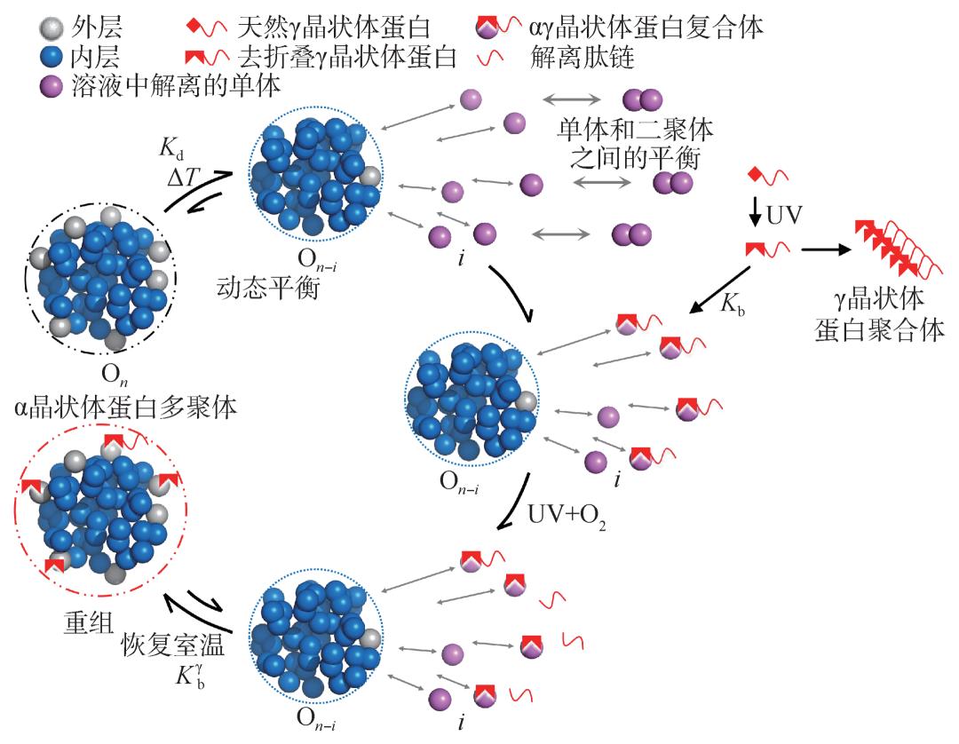 明目喝茶好还是吃药好,热茶清肝明目