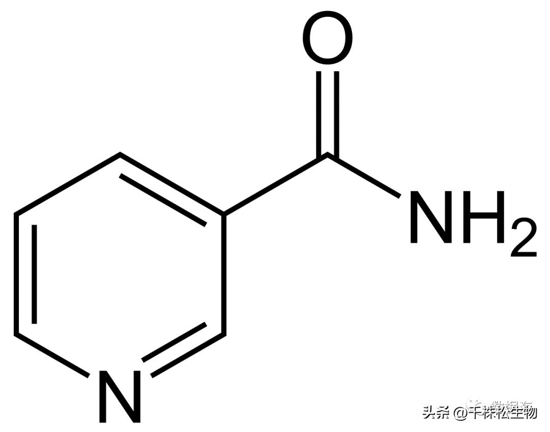 色氨酸是氨基酸,色氨酸和氨基酸的区别