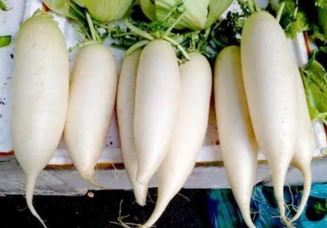 甲状腺不好的人吃什么鱼,甲状腺不好的人少吃西葫芦么