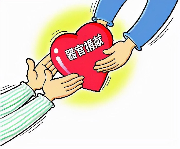 各地殡葬行业真实现状,殡葬业暴利大揭秘