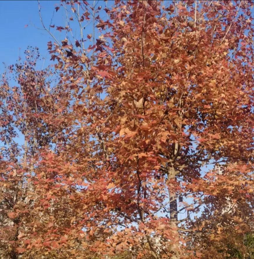 人品与财运的关系,人品好做什么生意都好