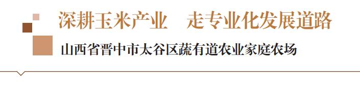 深耕玉米产业走专业化发展道路——山西省晋中市太谷区蔬有道农业家庭农场