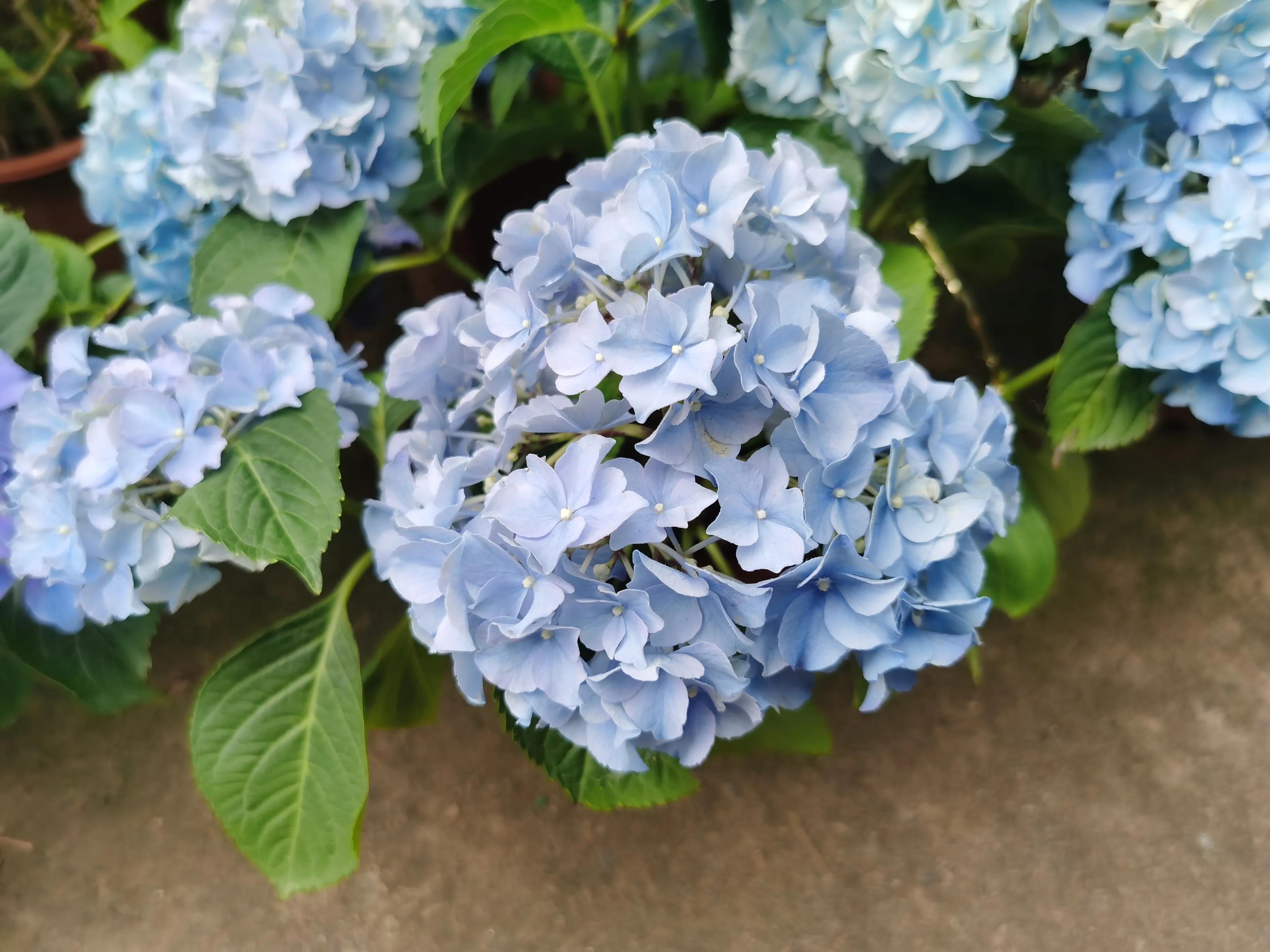 100种迷人的“数字花”,从零到一百万,真是太神奇了