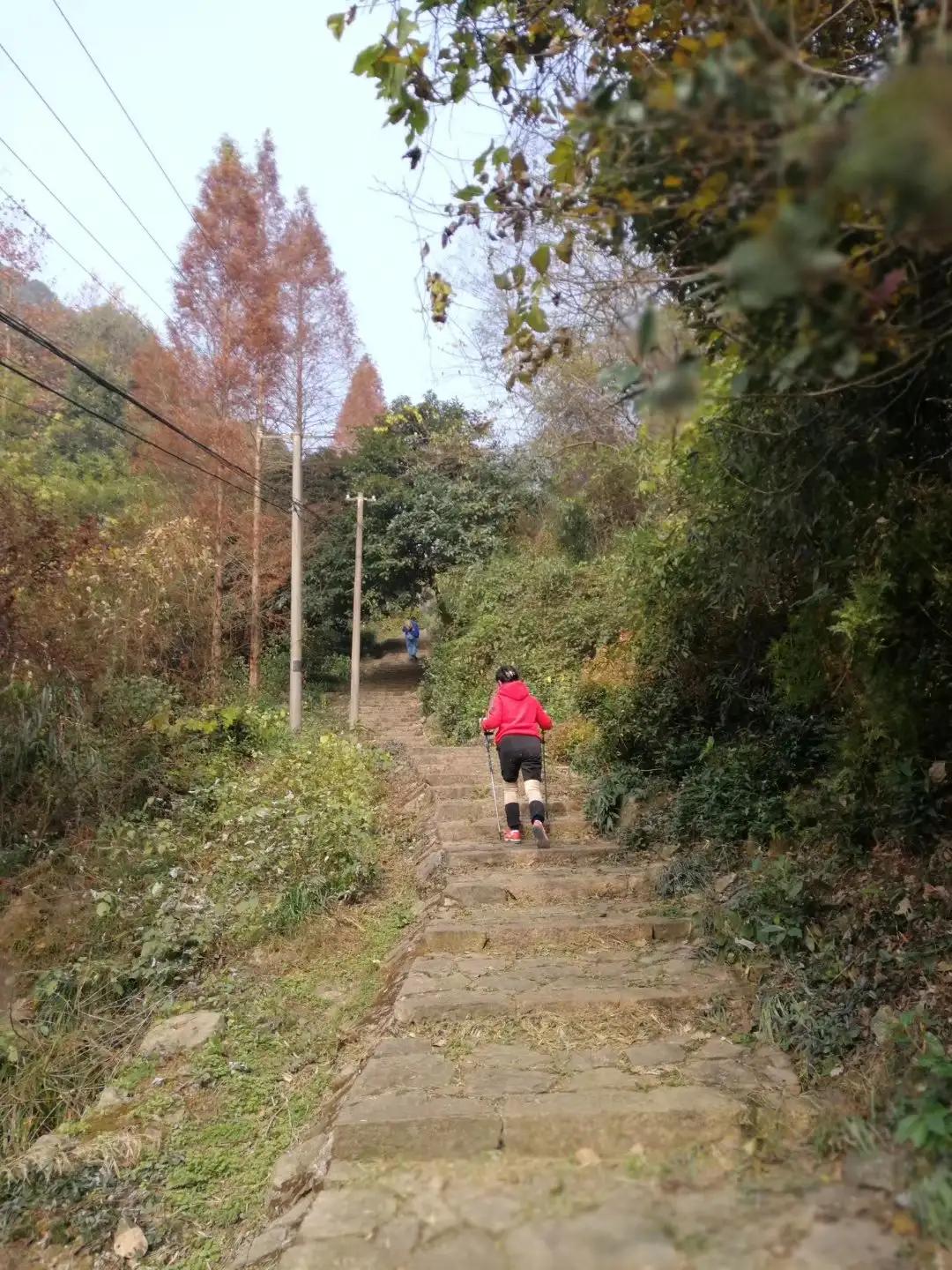 传统文化埭溪老街,古镇老街传统文化和现代时尚潮流