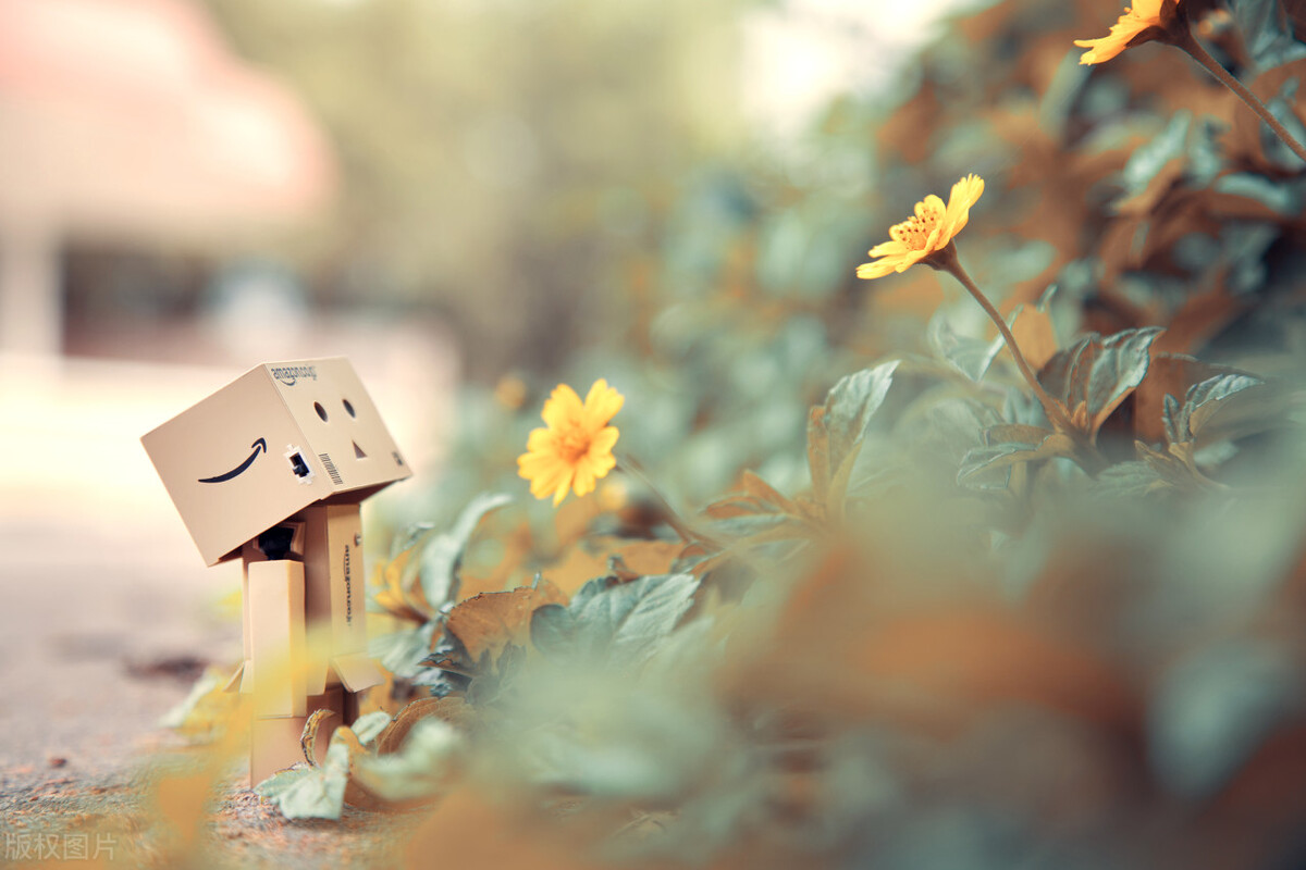 《久别重逢》平凡的女人：为女儿买1000多斤书