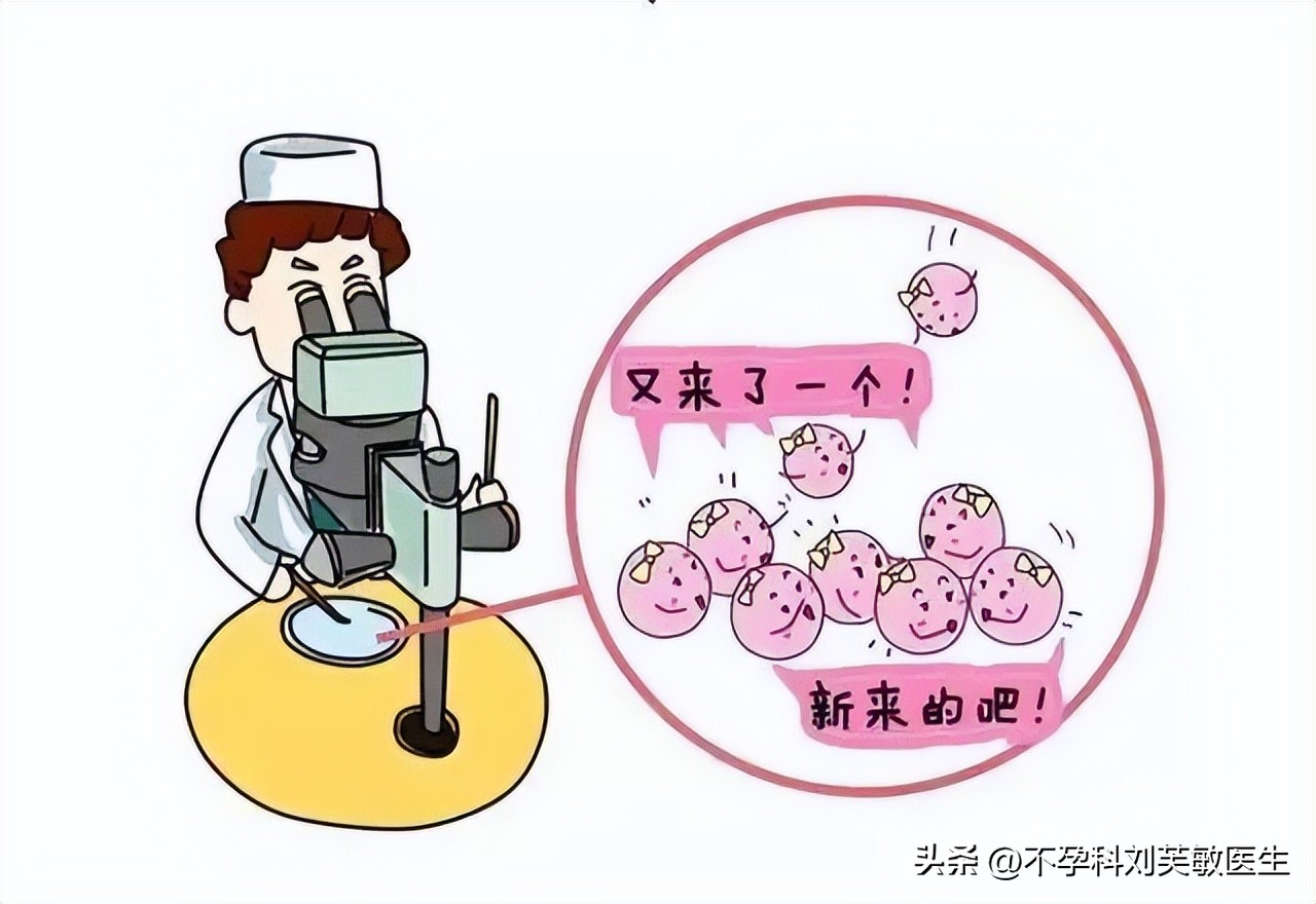 要备孕黄体功能不足吃什么,排卵多没有成熟的卵泡可以治好吗