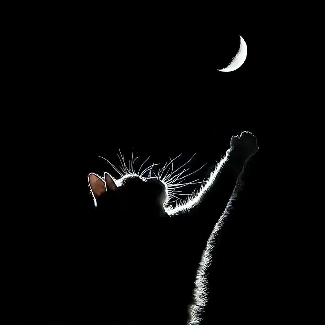 小众背景图高级感朋友圈,氛围感朋友圈背景图高级感