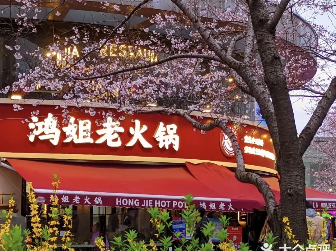 赏花有情调的餐厅推荐,虹口美食打卡