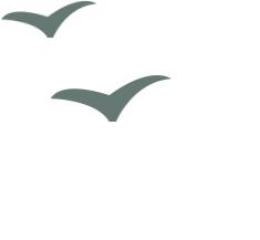 对谈心理学者李雪：为什么很多人的亲密关系，只是独角戏？