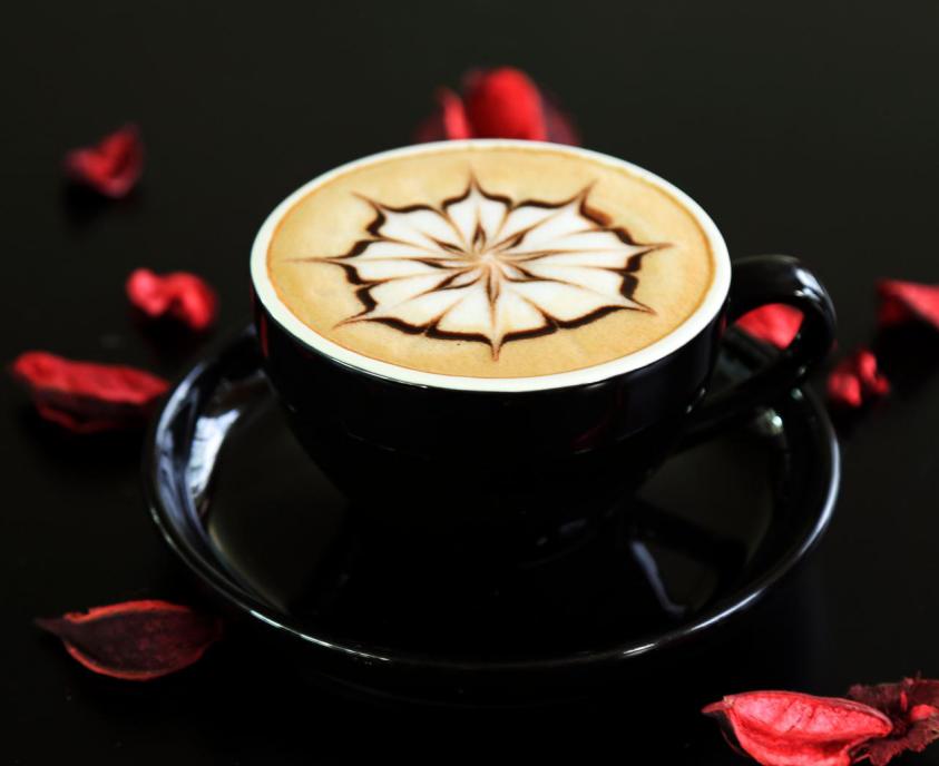 学什么技术好创业好就业,学什么技术好创业视频