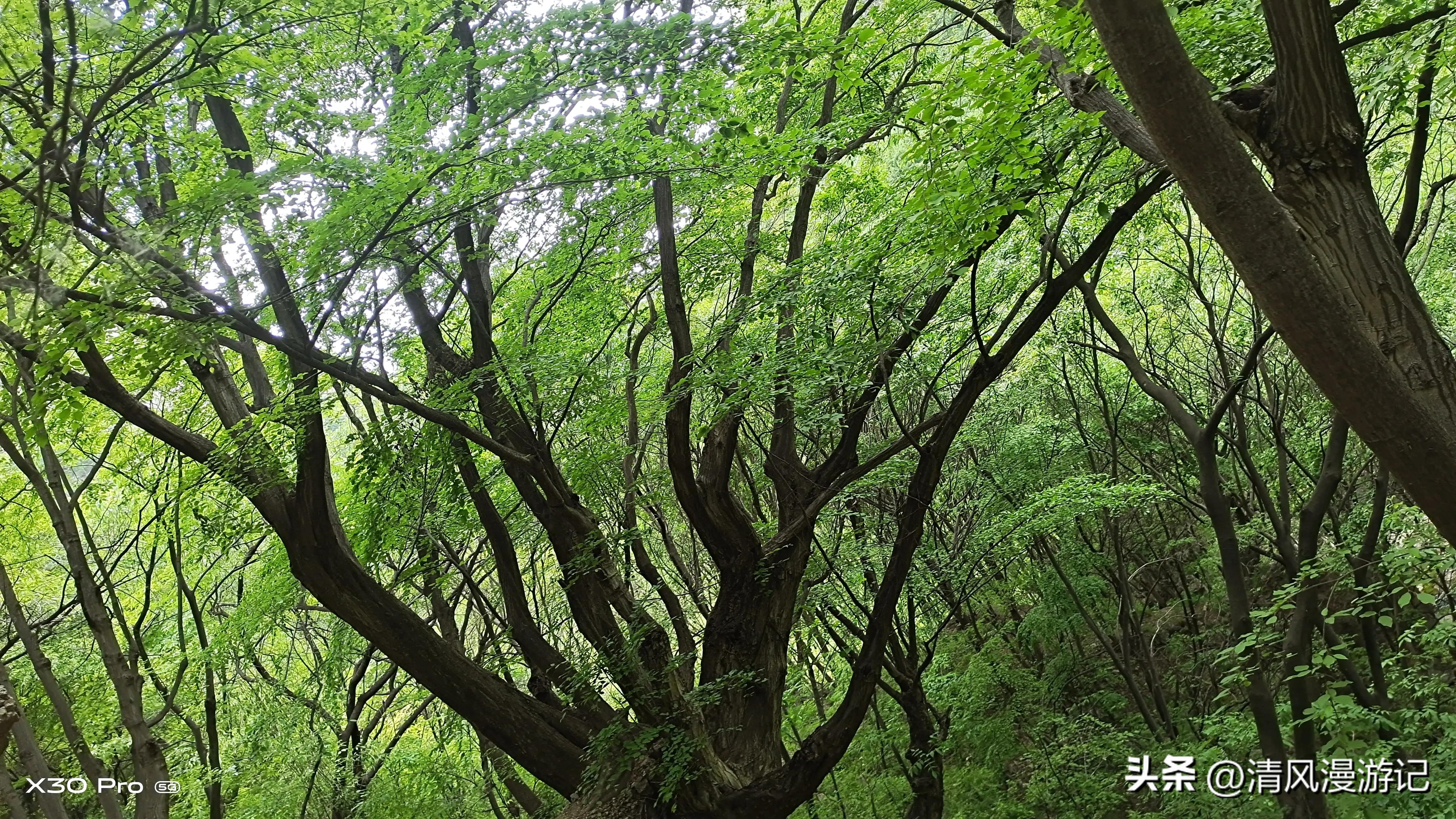 河北邢台云梦山地址位置,邢台市信都区云梦山景区