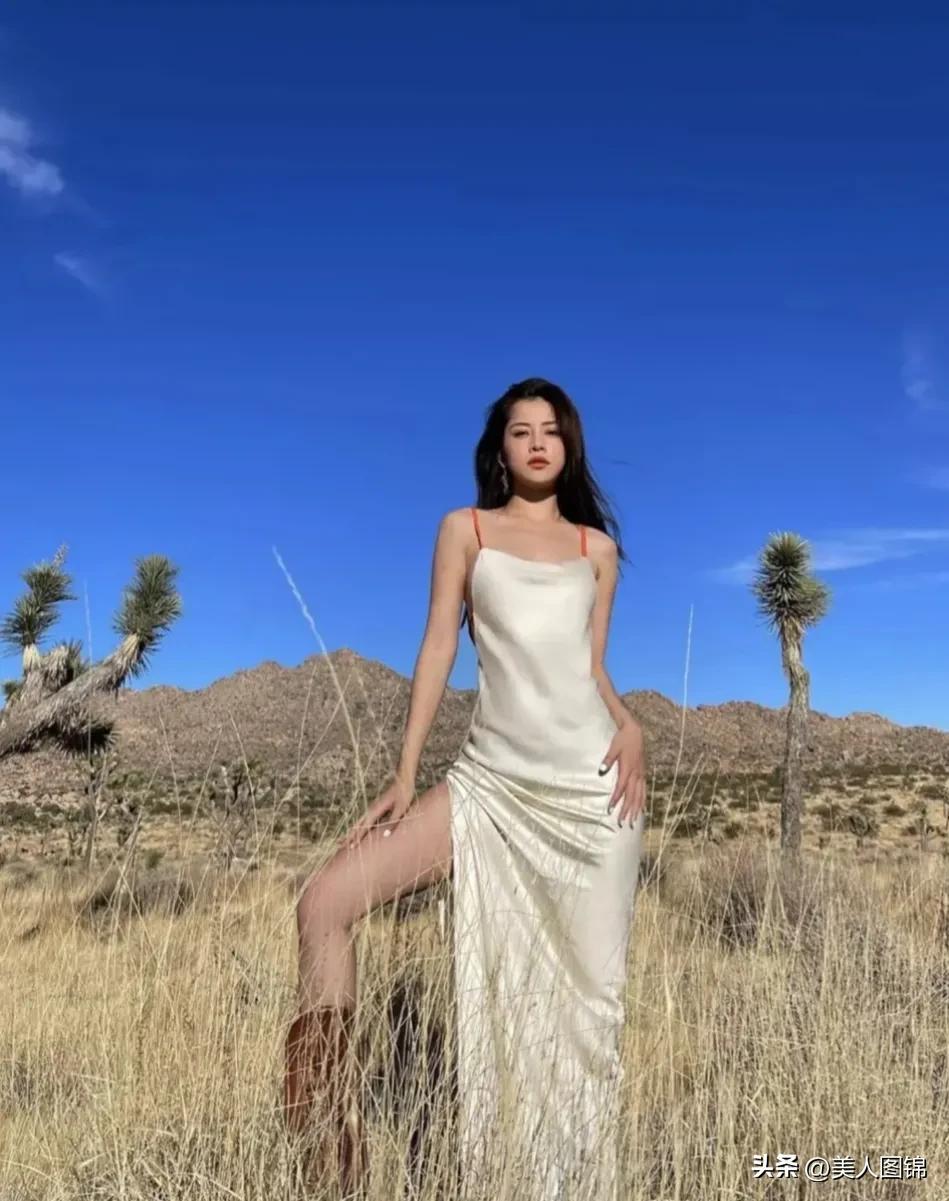 越南芝芙,芝芙越南