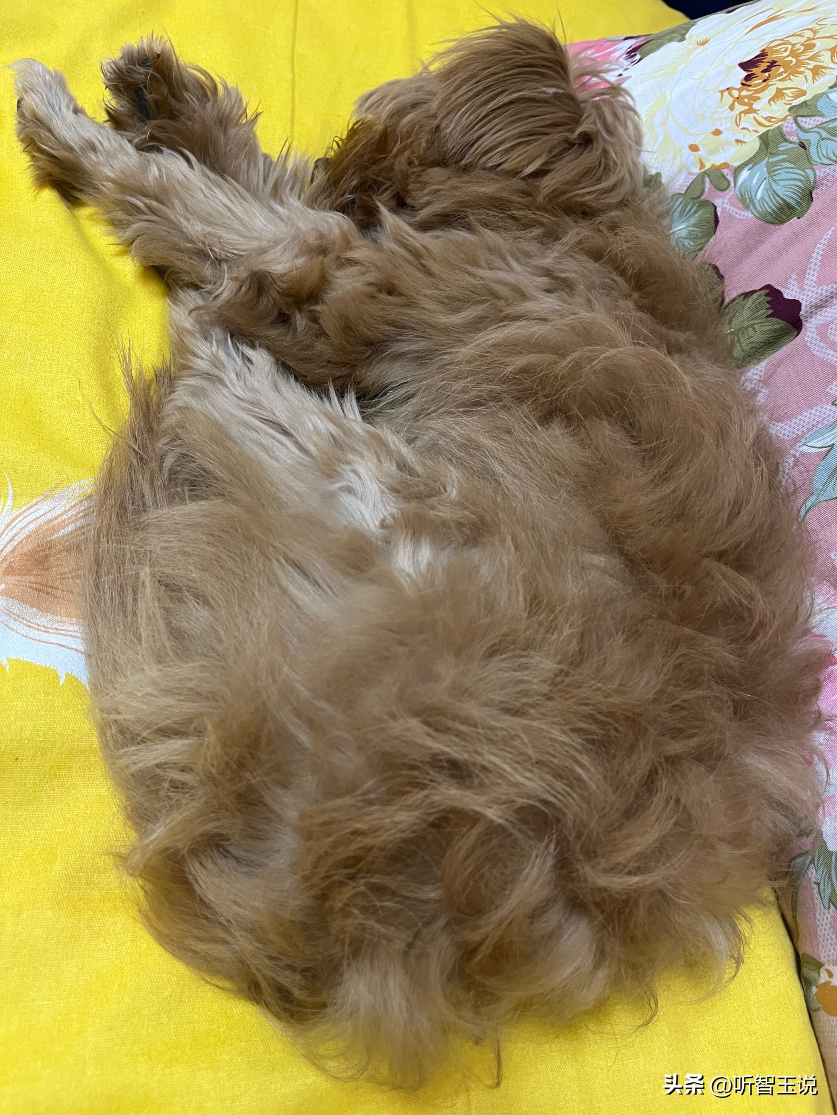 我的勤俭持家之路——买笔记本电脑（一）