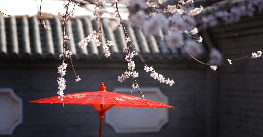 上海文峰美发美容官网,文峰美容美发都有什么项目