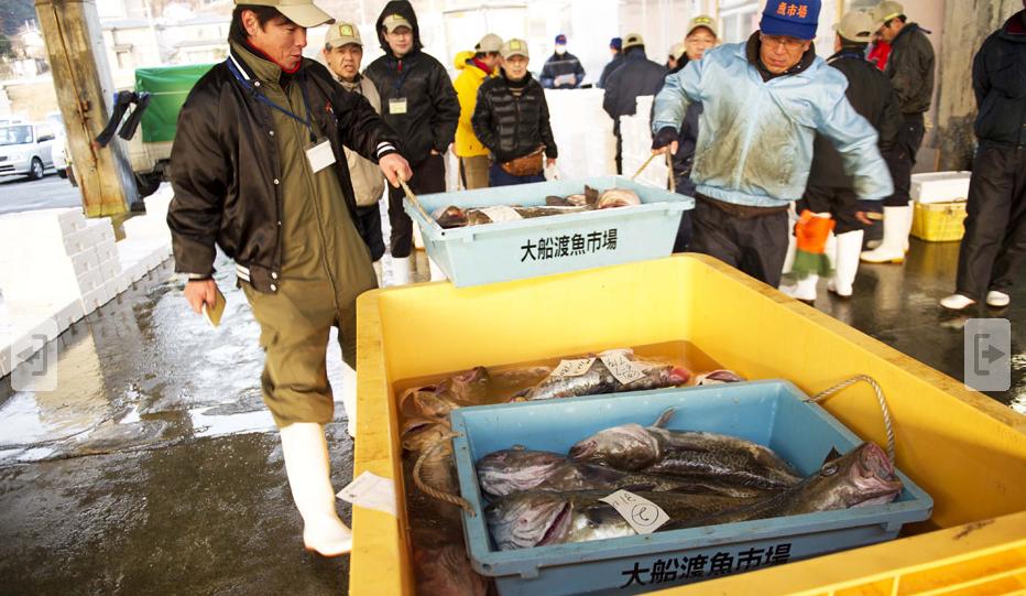 日本东电公司声明,日本东电有道歉吗