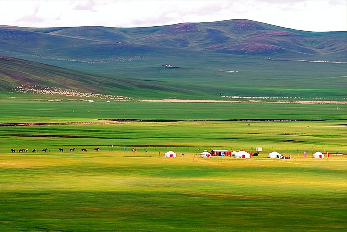 大名鼎鼎的三聚氰胺奶粉事件评价,三聚氰胺回顾