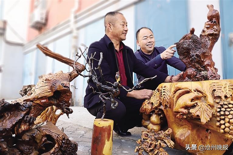 大型枯木根雕,海兴根雕