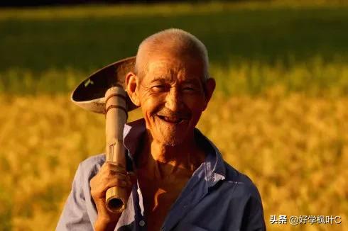 农民养老金上涨到底是真是假,最新消息农民养老金怎么定的