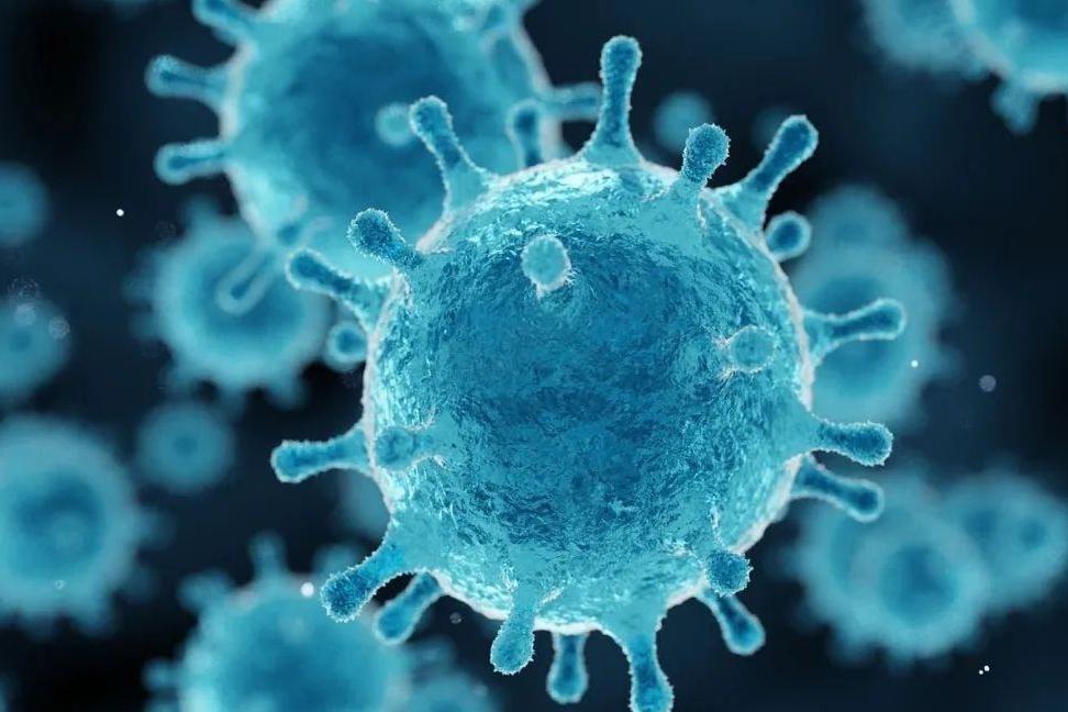 人类同类相食是怎么回事,人类基因有防止人吃人的吗