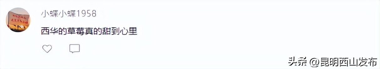 “百味西山”引发网友热议，团结、碧鸡、海口三地美食成焦点