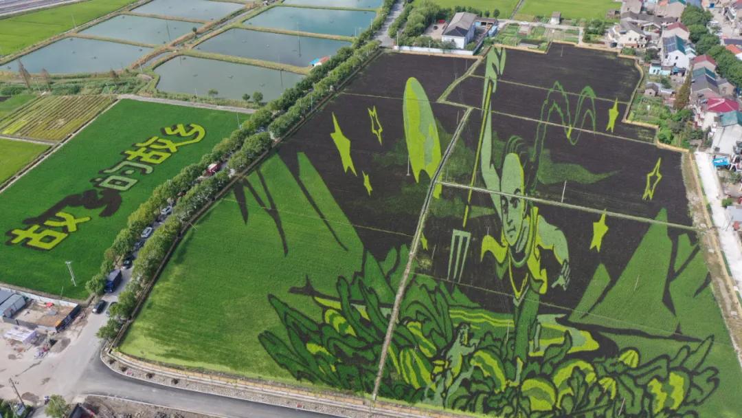 百年故乡情,鲁迅故乡经典句子和感悟