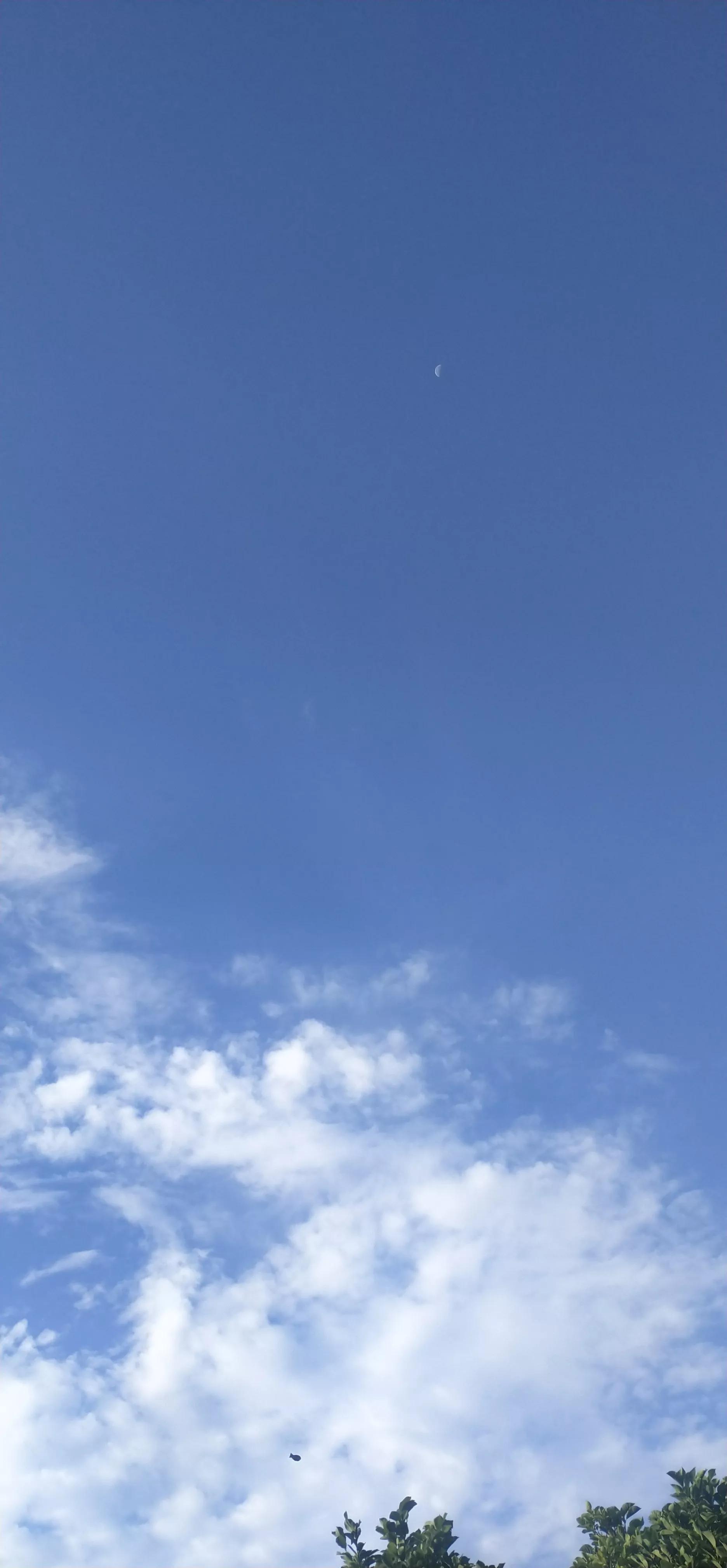 跑步无伤跑到地老天荒,跑步10年总结10条无伤跑秘籍