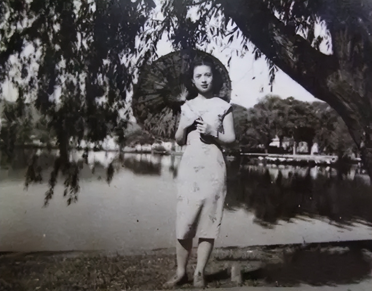 任芷芳哪一年去世,任芷芳盛毓邮