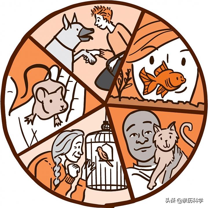 为什么宁愿选择和宠物共度一生,宠物是陪伴我们的最好方式