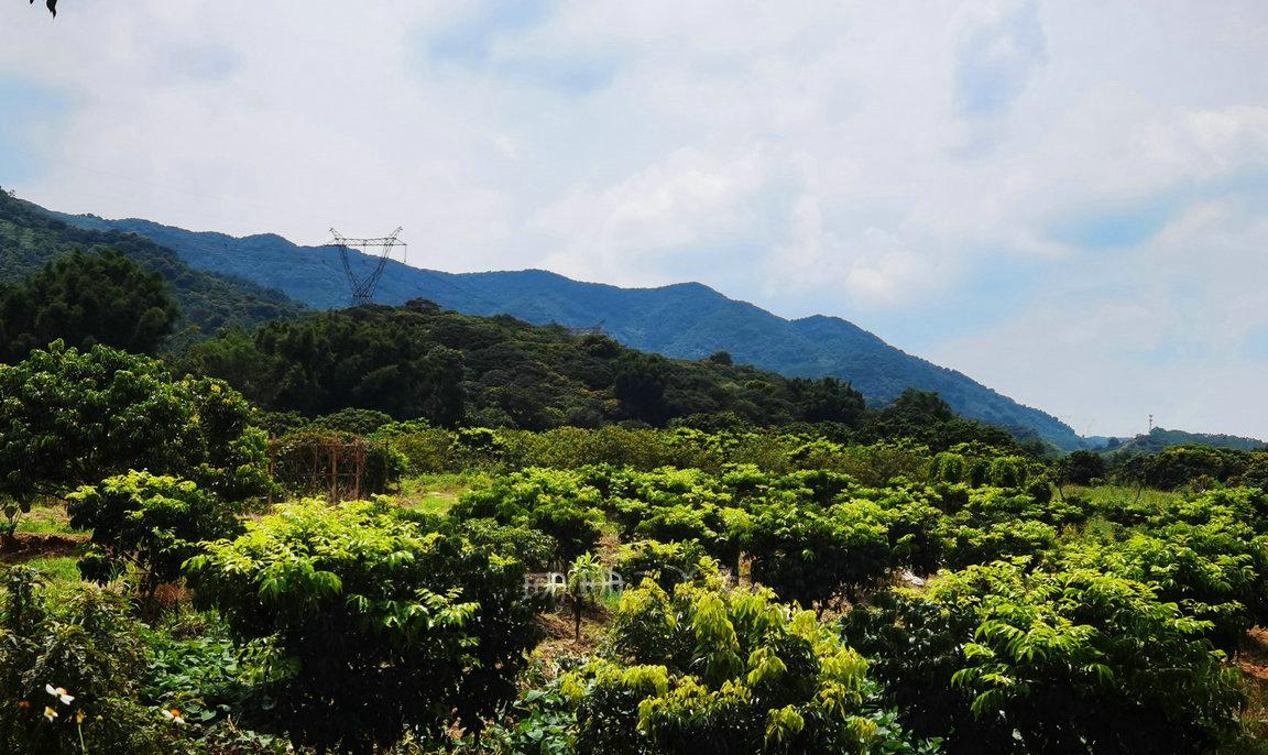 广州从化超全旅游攻略,从化特色古村落一日游