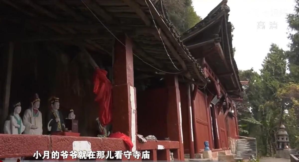 四川14岁少年杀害18岁女孩,13岁男孩杀14岁女孩事件