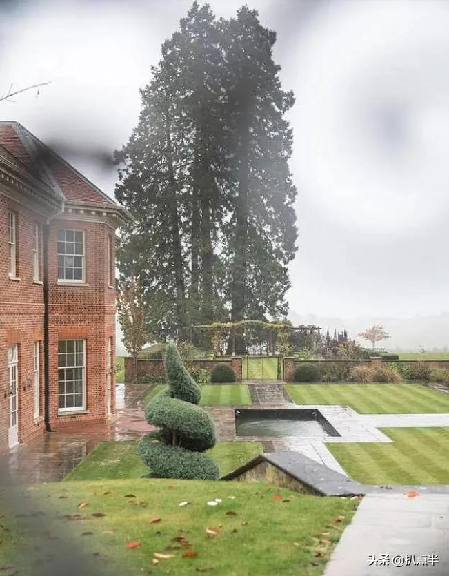 周焯华刘碧丽最新消息,周焯华和小三最新消息