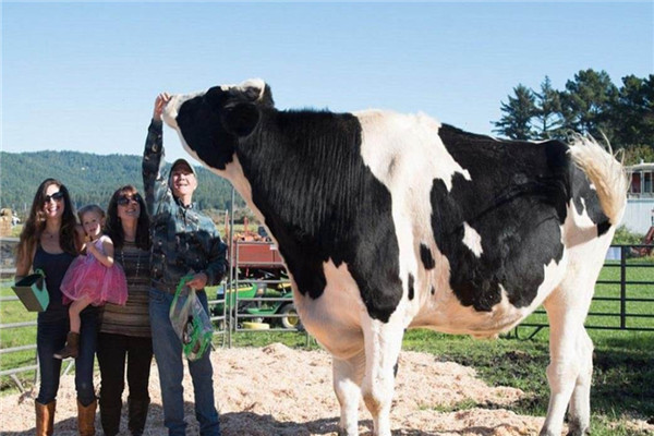 世界上最可怕的10种变异蜗牛,世界上最稀有的蜗牛品种