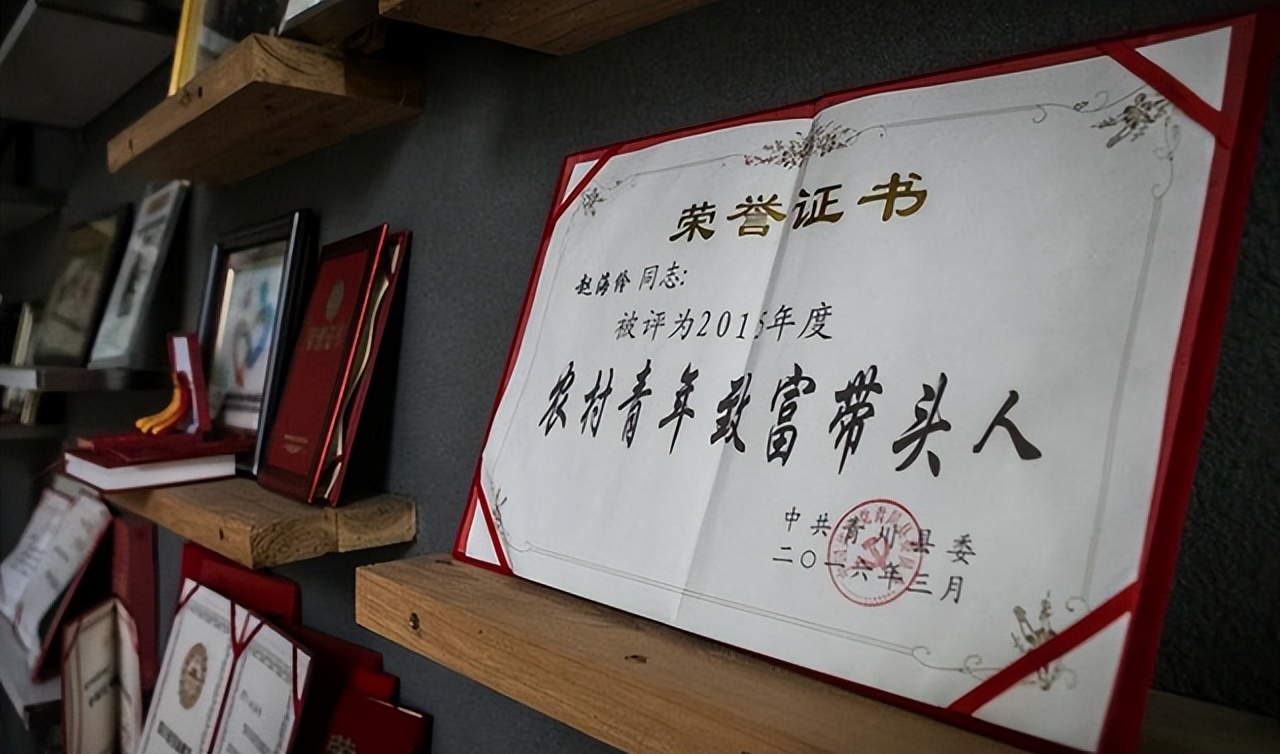 90后大学生回乡创业致富,汶川80后女孩放弃工作回乡创业