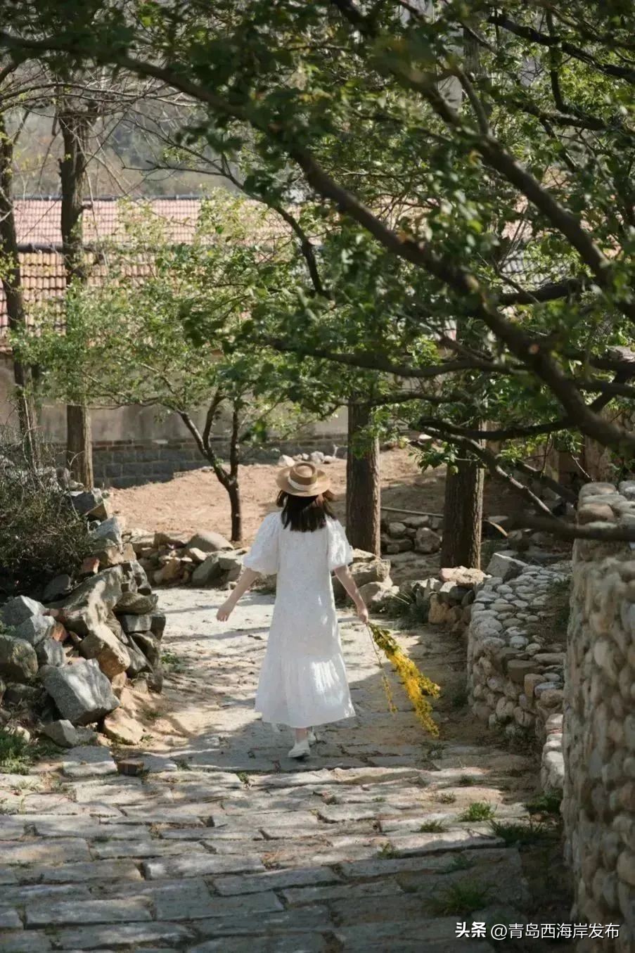 现实版小森林，这些藏在西海岸周边的乡野太治愈