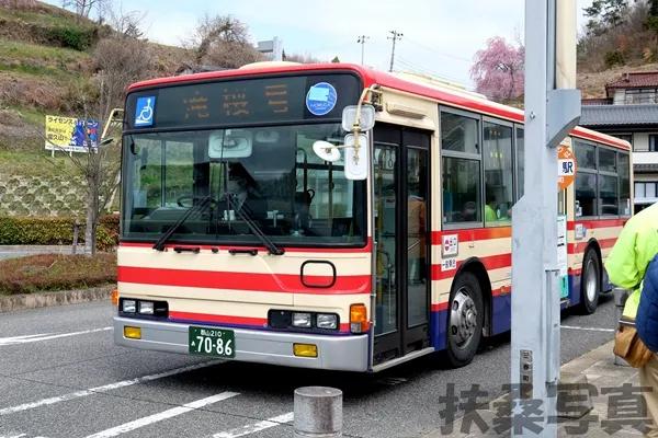 【说说日本的三大樱、五大樱以及观赏期推荐、交通路线介绍】