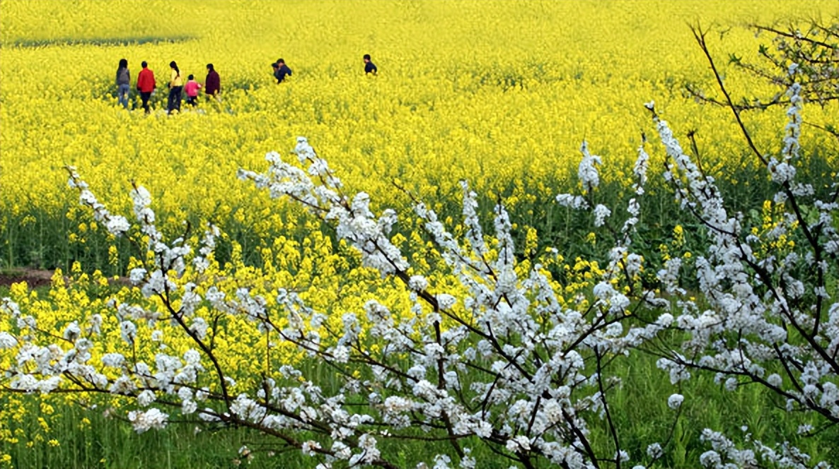 远大抱负且霸气的古诗原创,吟诗作对的经典诗句